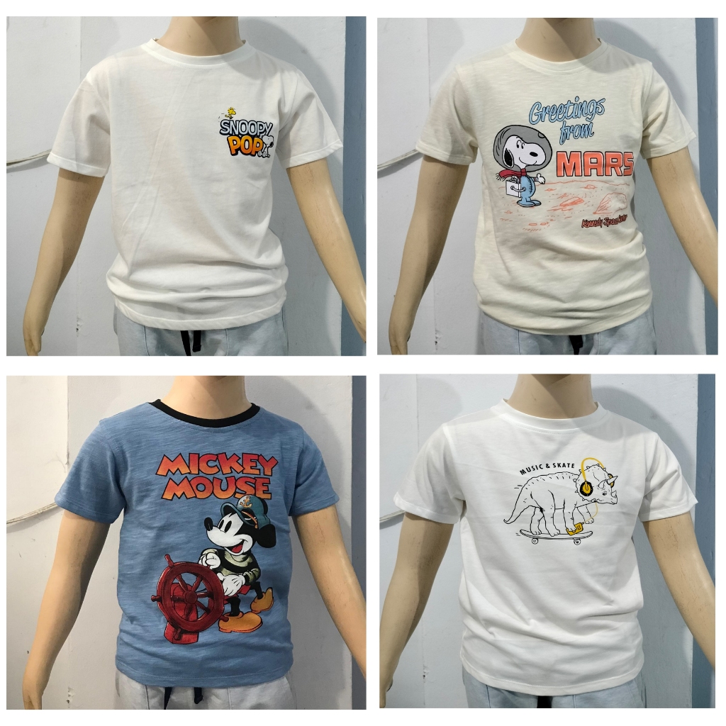 KAOS DINOSAURUS ANAK LAKI LAKI