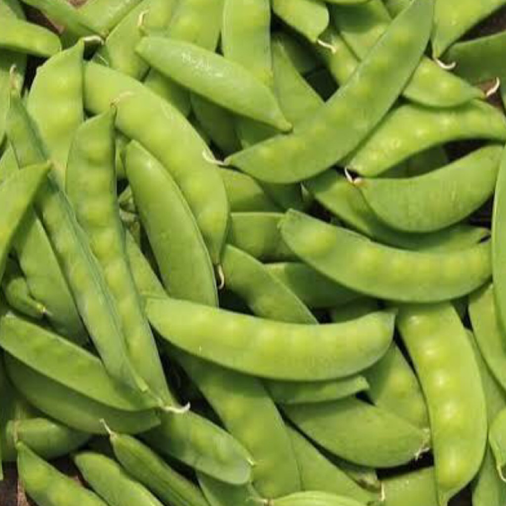 

Kacang Kapri Hijau 500gr