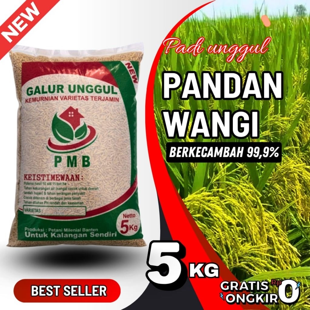 Benih/bibit padi unggul pandan wangi kemasan 5kg, original