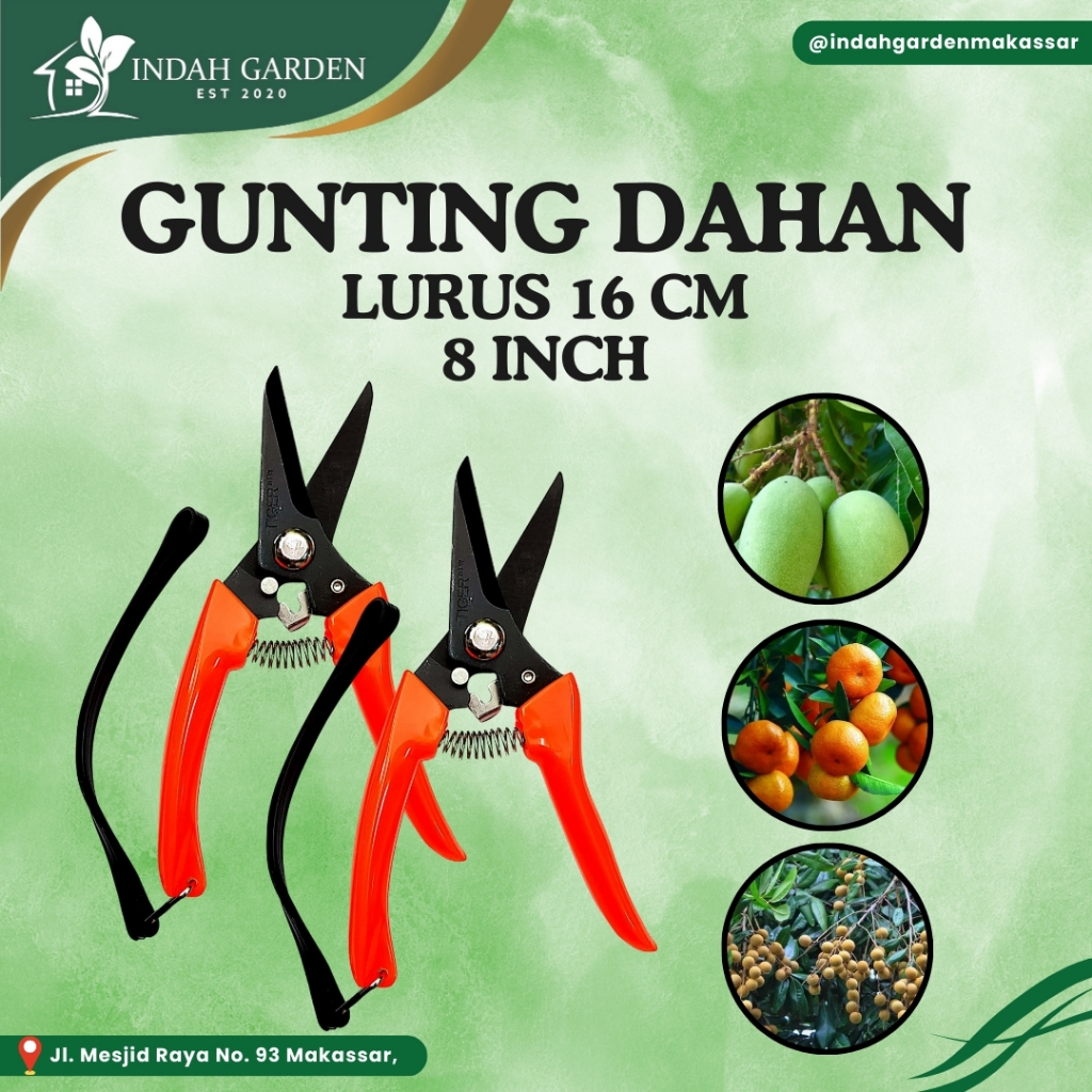 Gunting Ranting / dahan Lurus