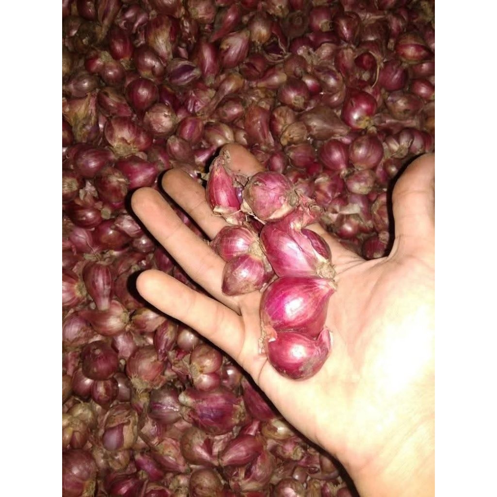 Bawang Merah Lokal 1kg