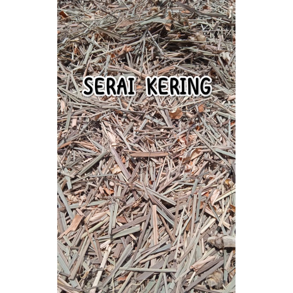 

SERAI / SEREH / SERE KERING isi 500gr