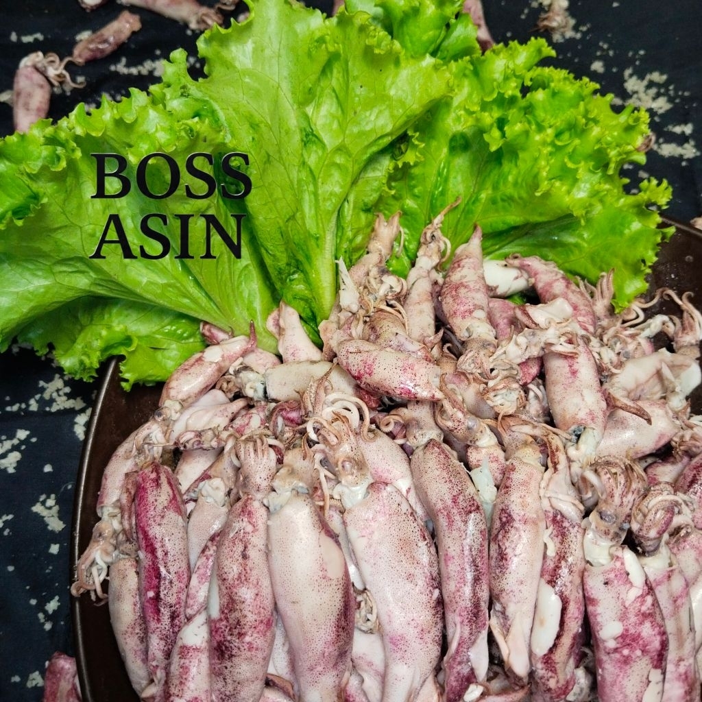 

BOSS ASIN CUMI SOTONG / IKAN ASIN CUMI MURAH / IKAN ASIN CUMI SEGAR
