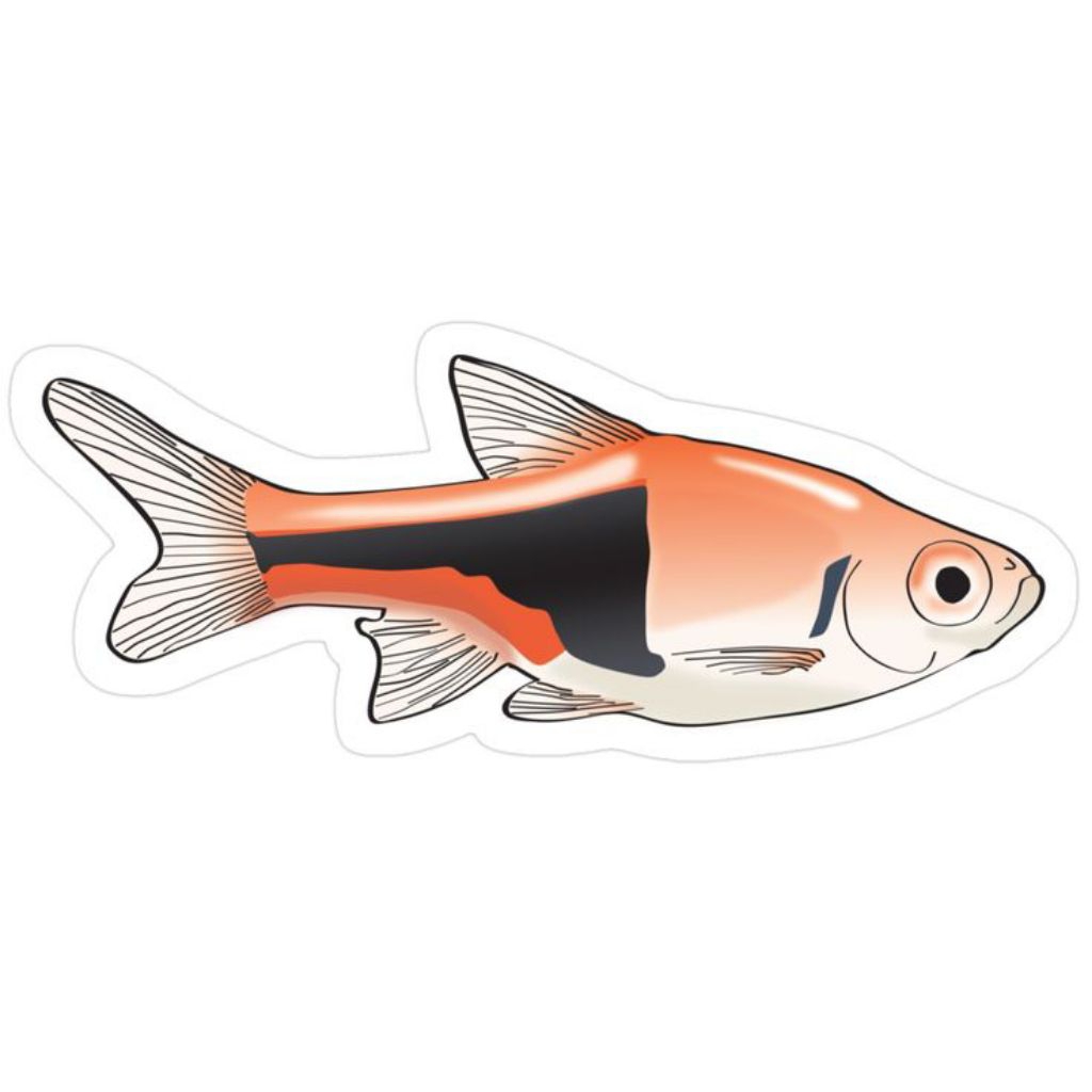 

STIKER LUCU RASBORA HERLEQUEN 10 BIJI