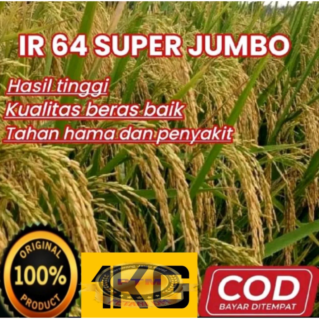 BENIH PADI IR 64 SUPER JUMBO KEMASAN 1KG