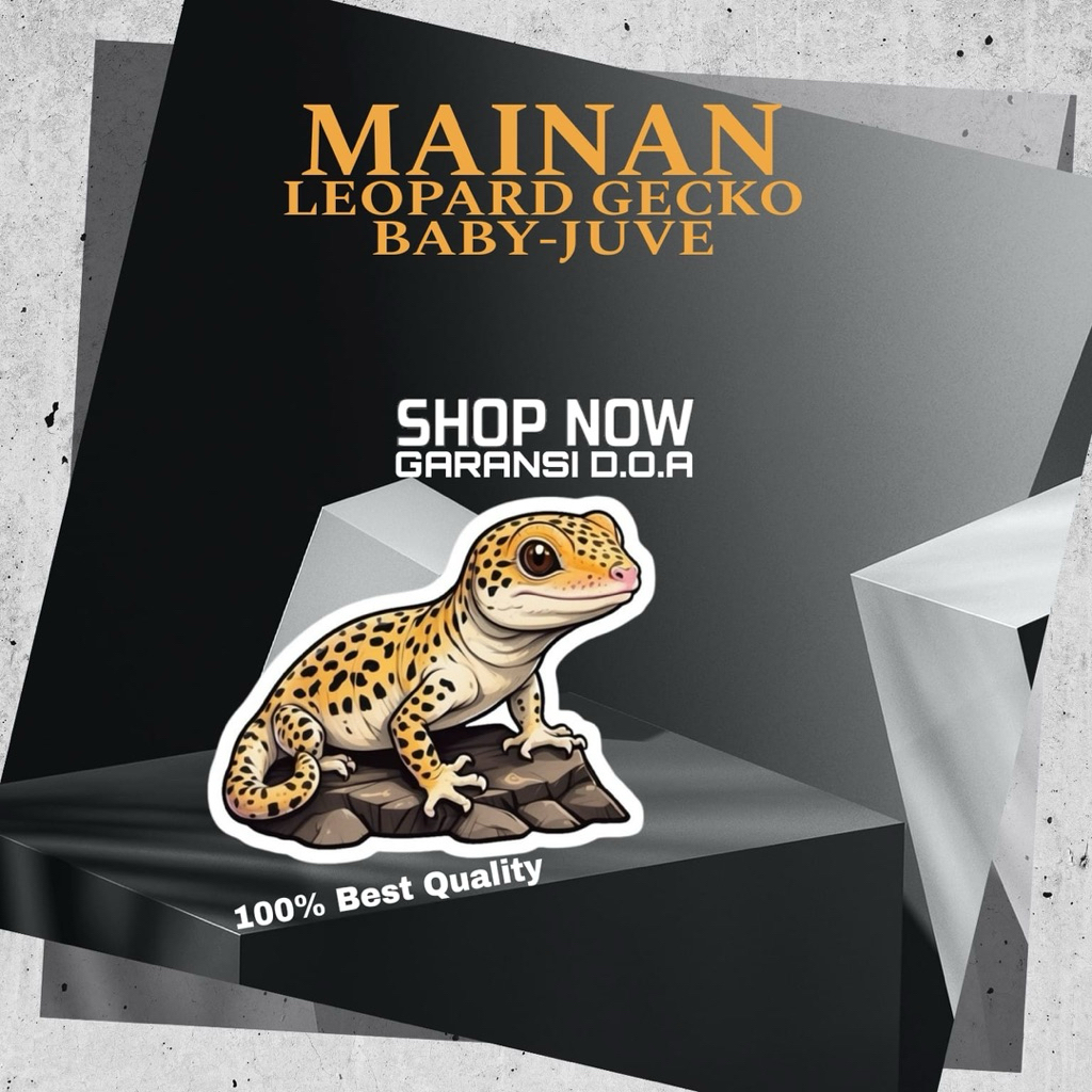 MAINAN GECKO LEOPARD JUVE BEST QUALITY - BISA PILIH VIA CHAT