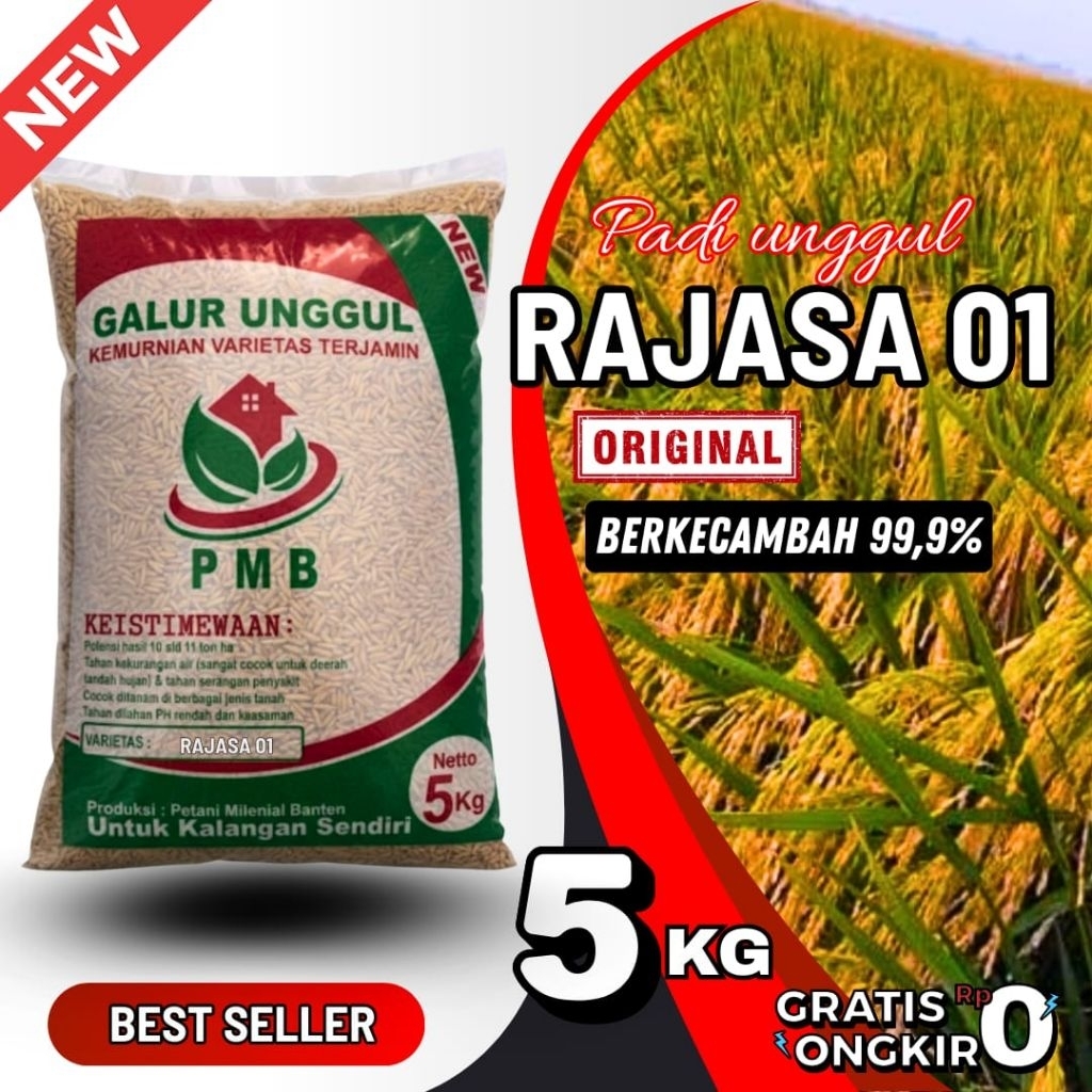 Benih padi unggul RAJASA 01 kemasan 5kg, original