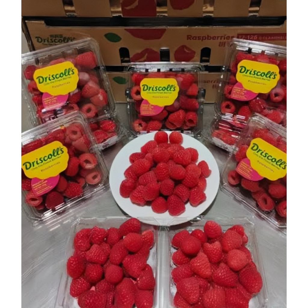 Buah Raspberry Driscolls / Buah Raspberry Import Fresh / Pack