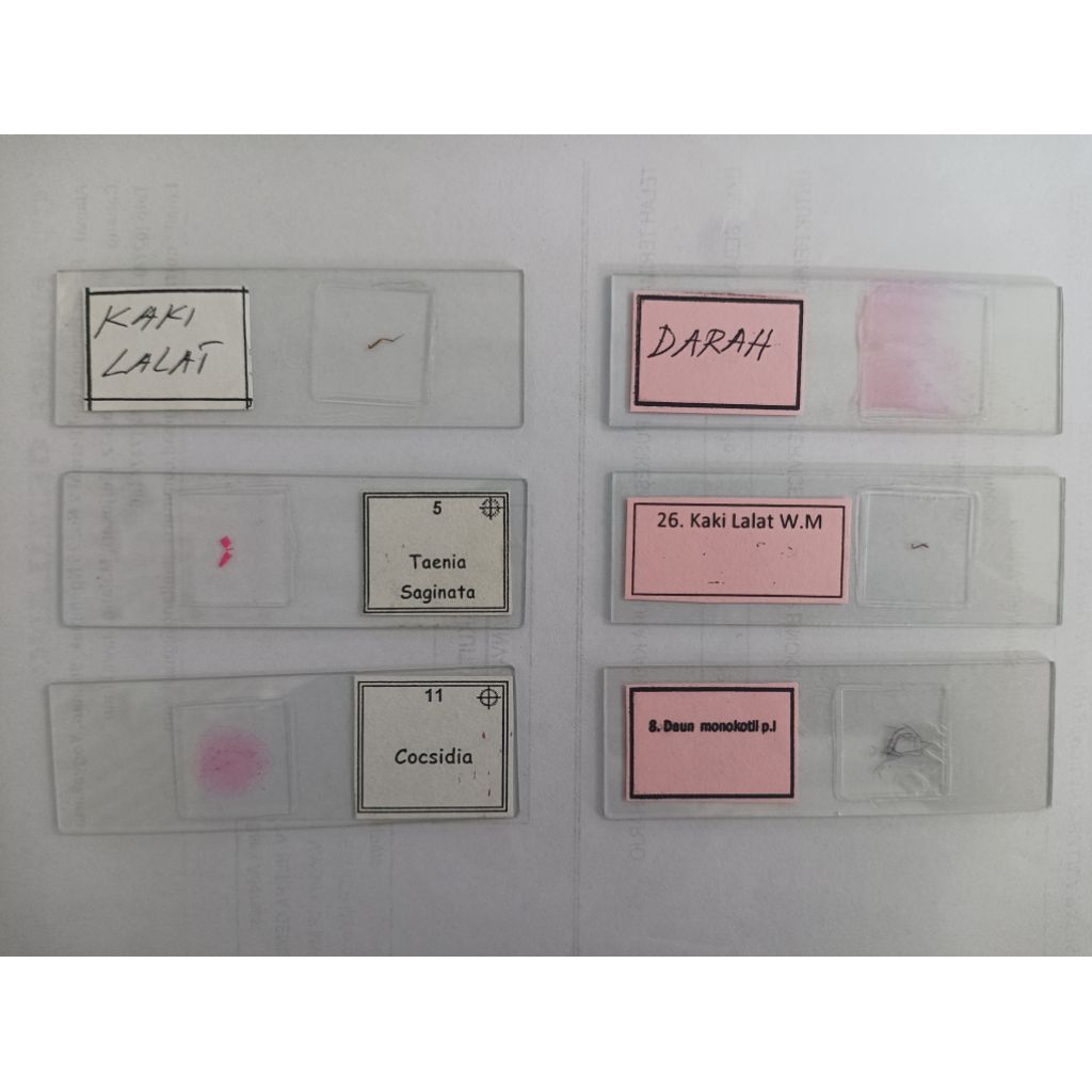 SALE PREPARAT AWETAN SEKOLAH