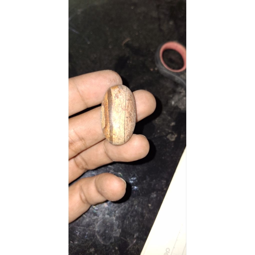 batu akik fosil kendit