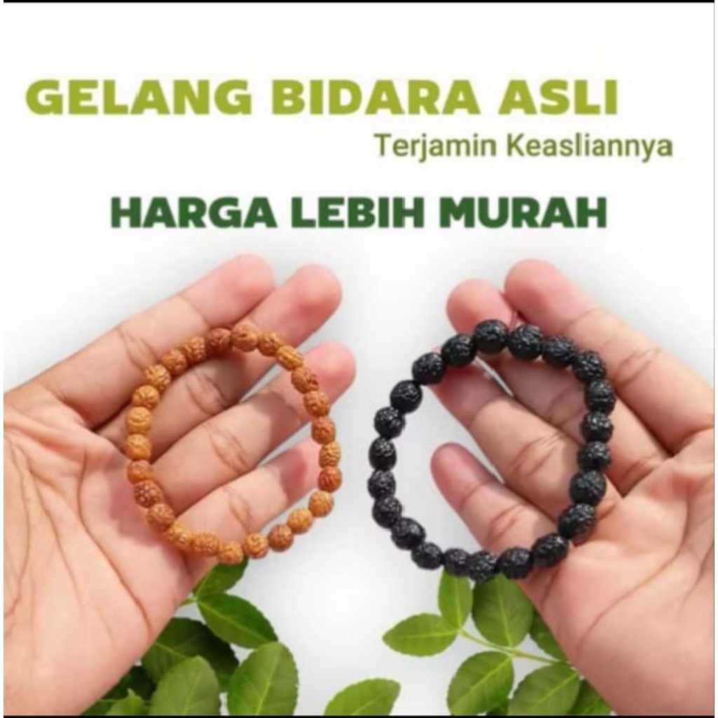 gelang Biji Bidara asli