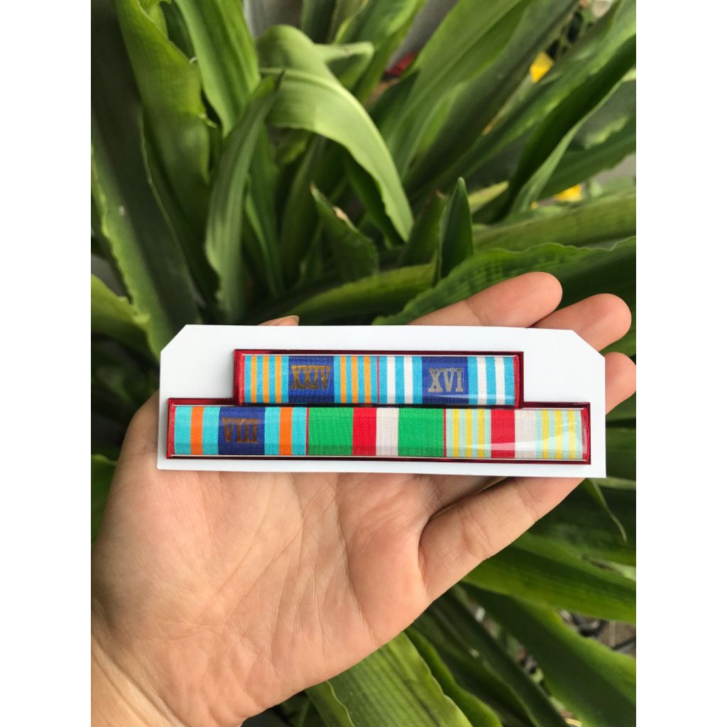 [SATYALENCANA] TANDA JASA PDH PITA TNI AD 8,16,24,DARMANUSA,WIRADARMA