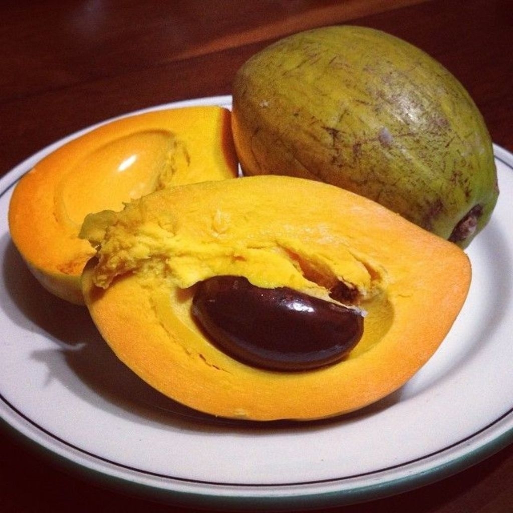 

Sawo Belanda fresh 1kg_Alkesa Sawo Belanda