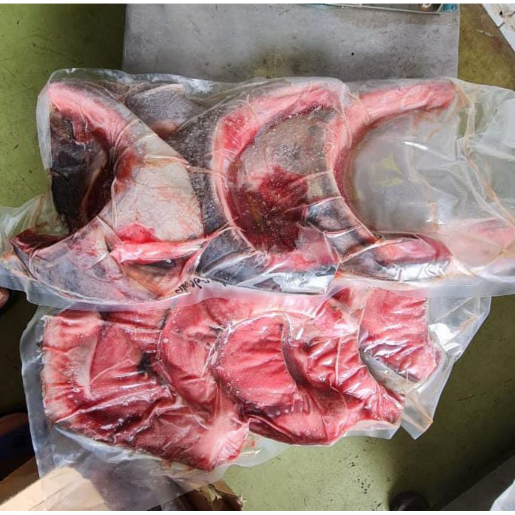 RAHANG TUNA FROZEN 1KG | Rahang Tuna ukuran Random 400up