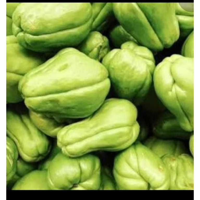 

labu siam/jipang asli garut petik dadakan