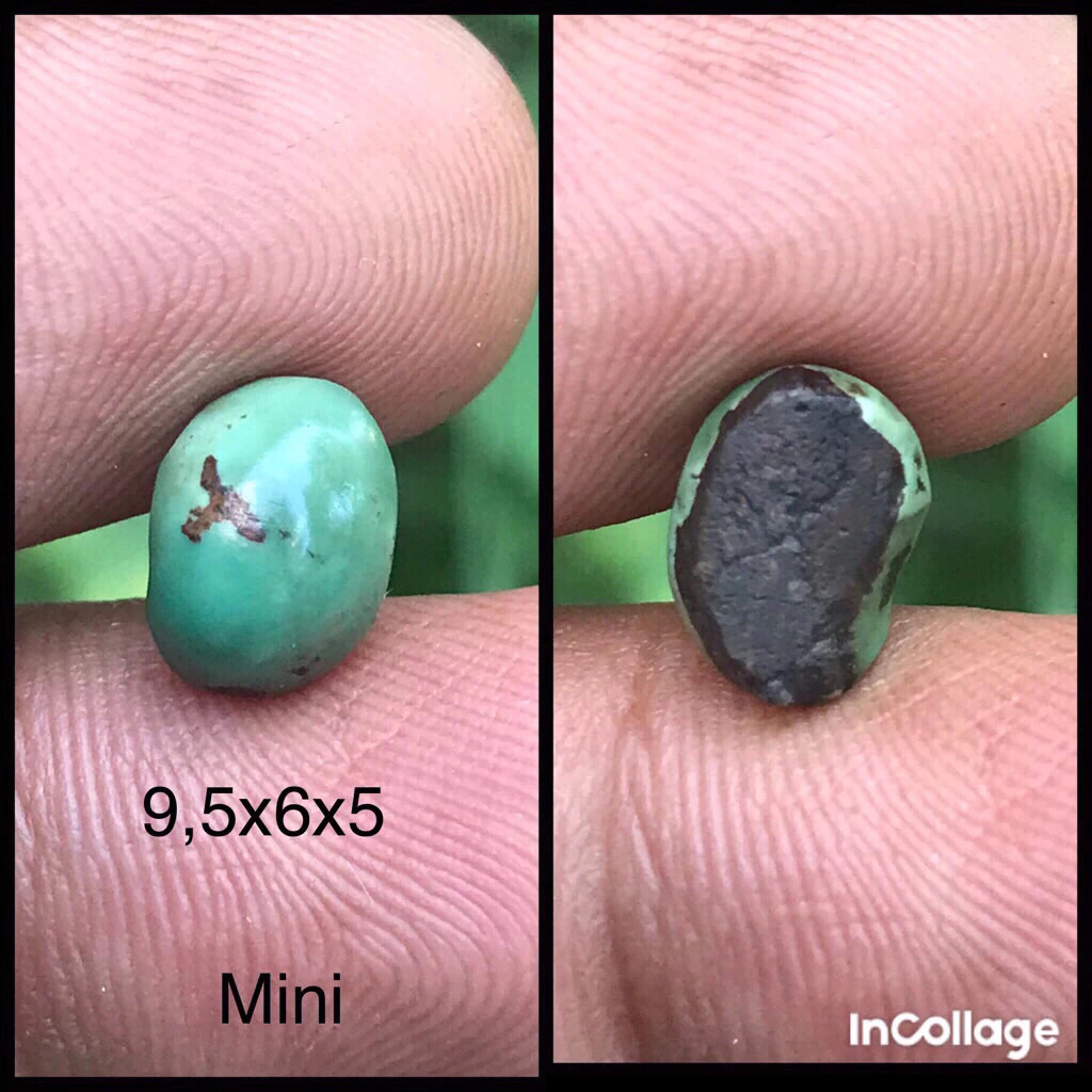 PIRUS PERSIA MINI.DIM 9,5x6x5