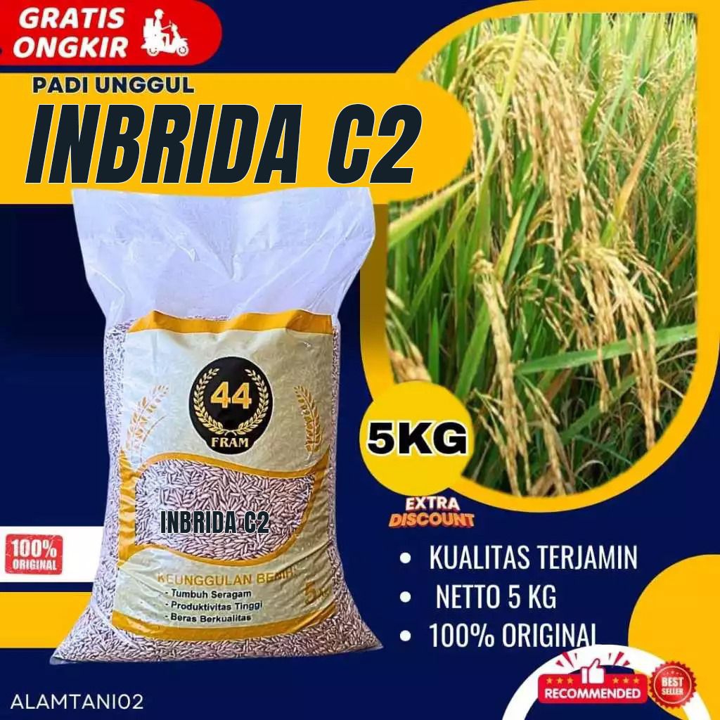 Benih padi bibit padi INBRIDA C2 original kemasan 5 kg