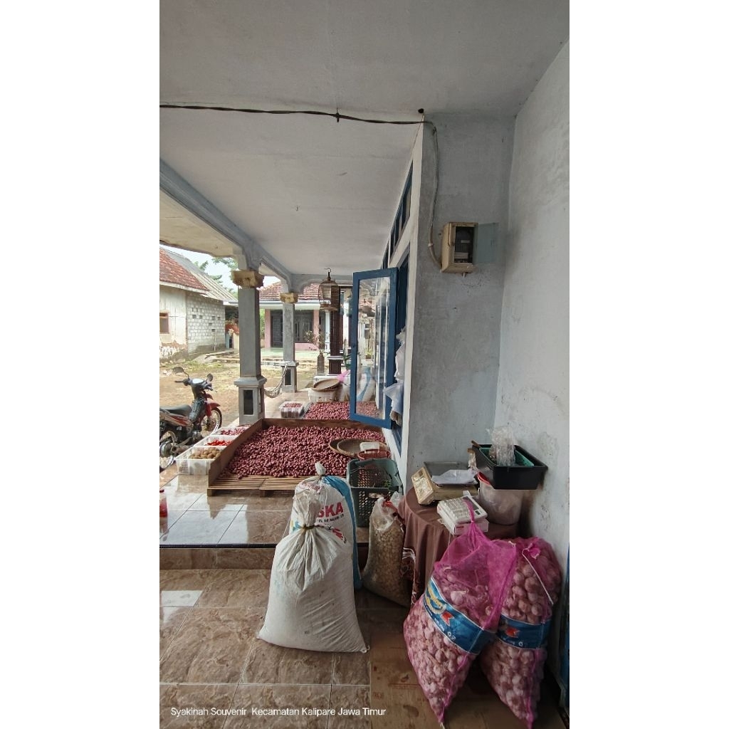 Bawang Merah Probolinggo