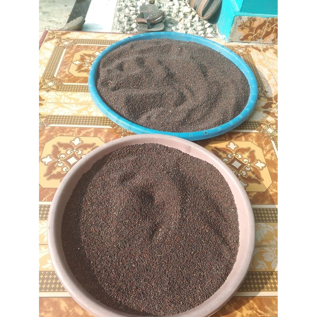 Benih sawi hijau / Sawi bakso kemasan 1 kg