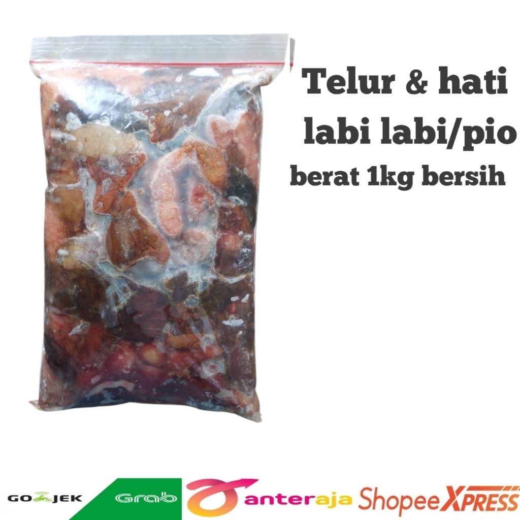 Telur labi labi /pio/bulus