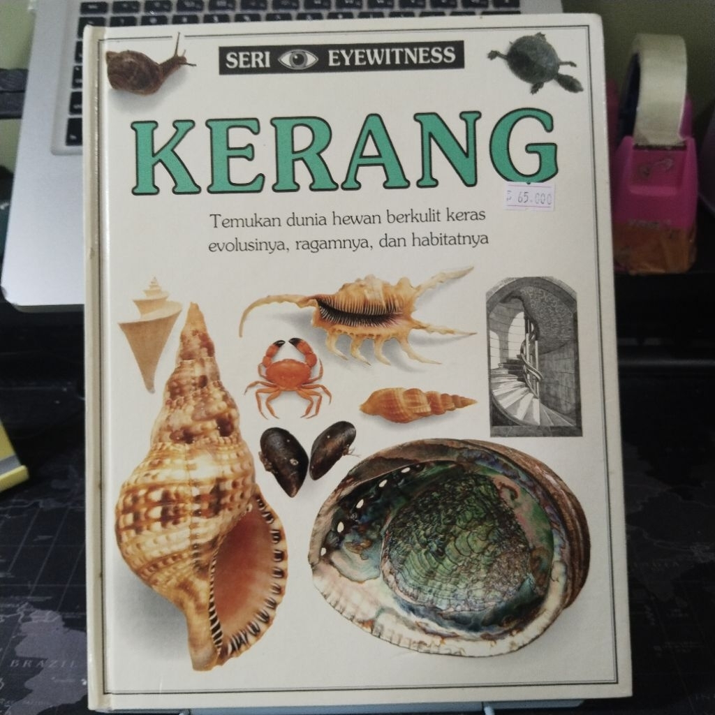 Buku anak Seri Eyewitness KERANG