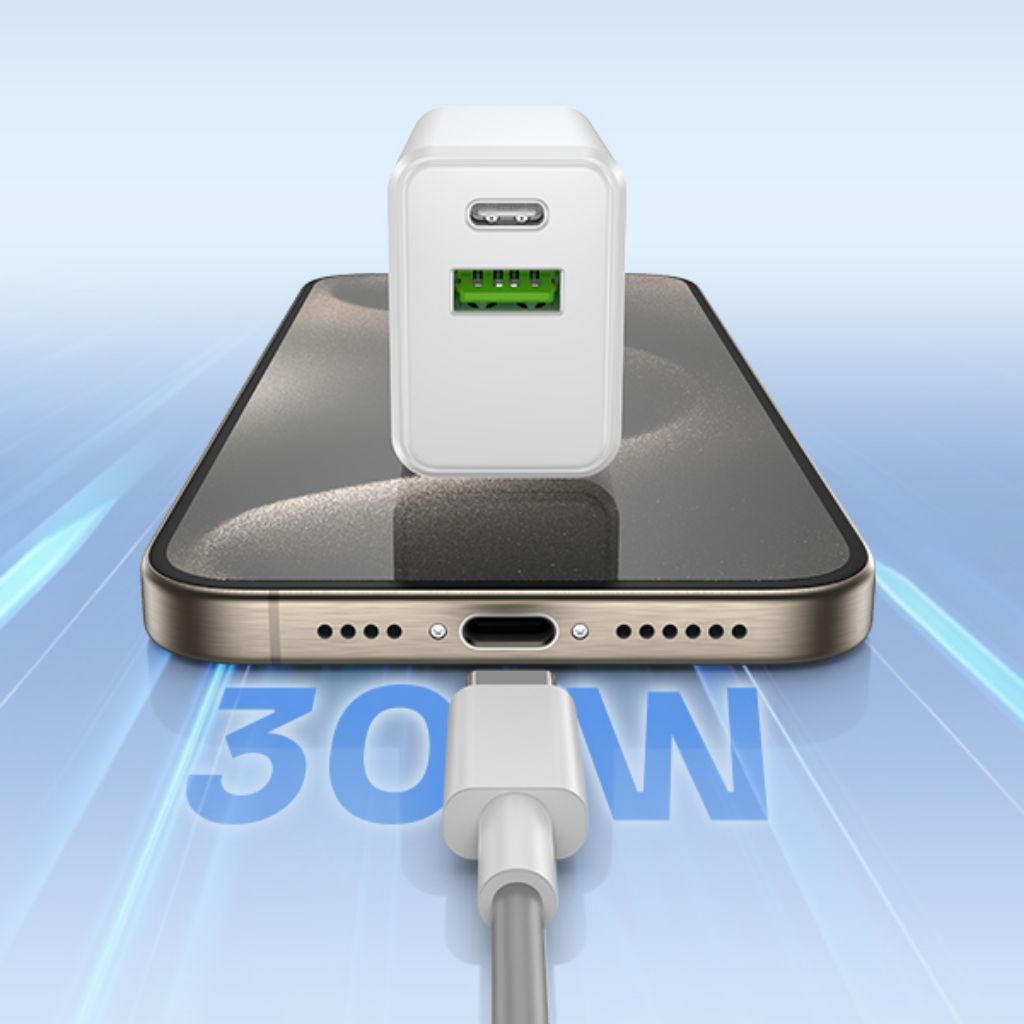 ROBOT RT-P30 CHARGER 30WATT