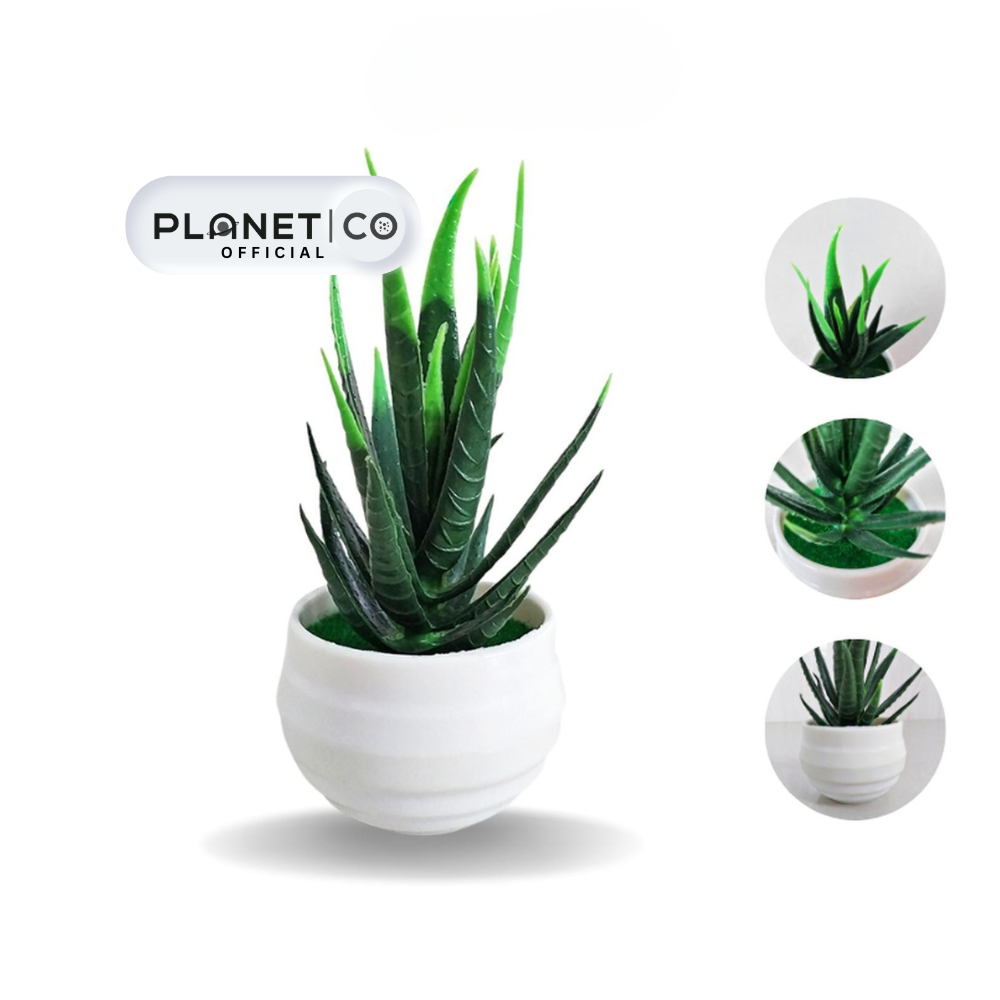 PLANET CO Tanaman Hias Plastik Daun Lidah Buaya Mini Artificial Ornamen Dekorasi Pajangan Buatan Rum