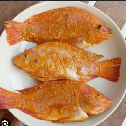 ikan nila merah marinasi bakar