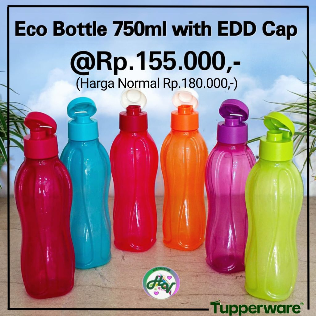 Eco Bottle Flip Top 750ml (1)