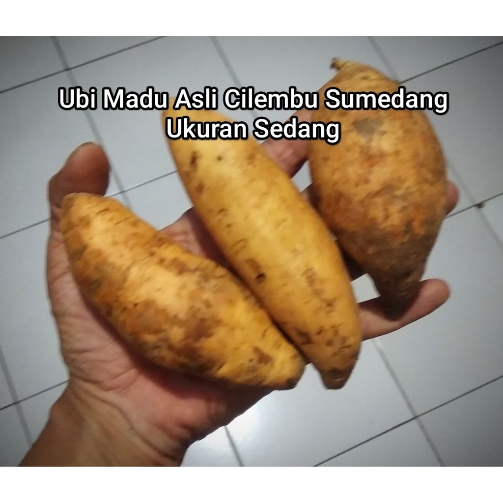 Ubi Madu Asli Cilembu Sumedang (Ukuran Sedang)
