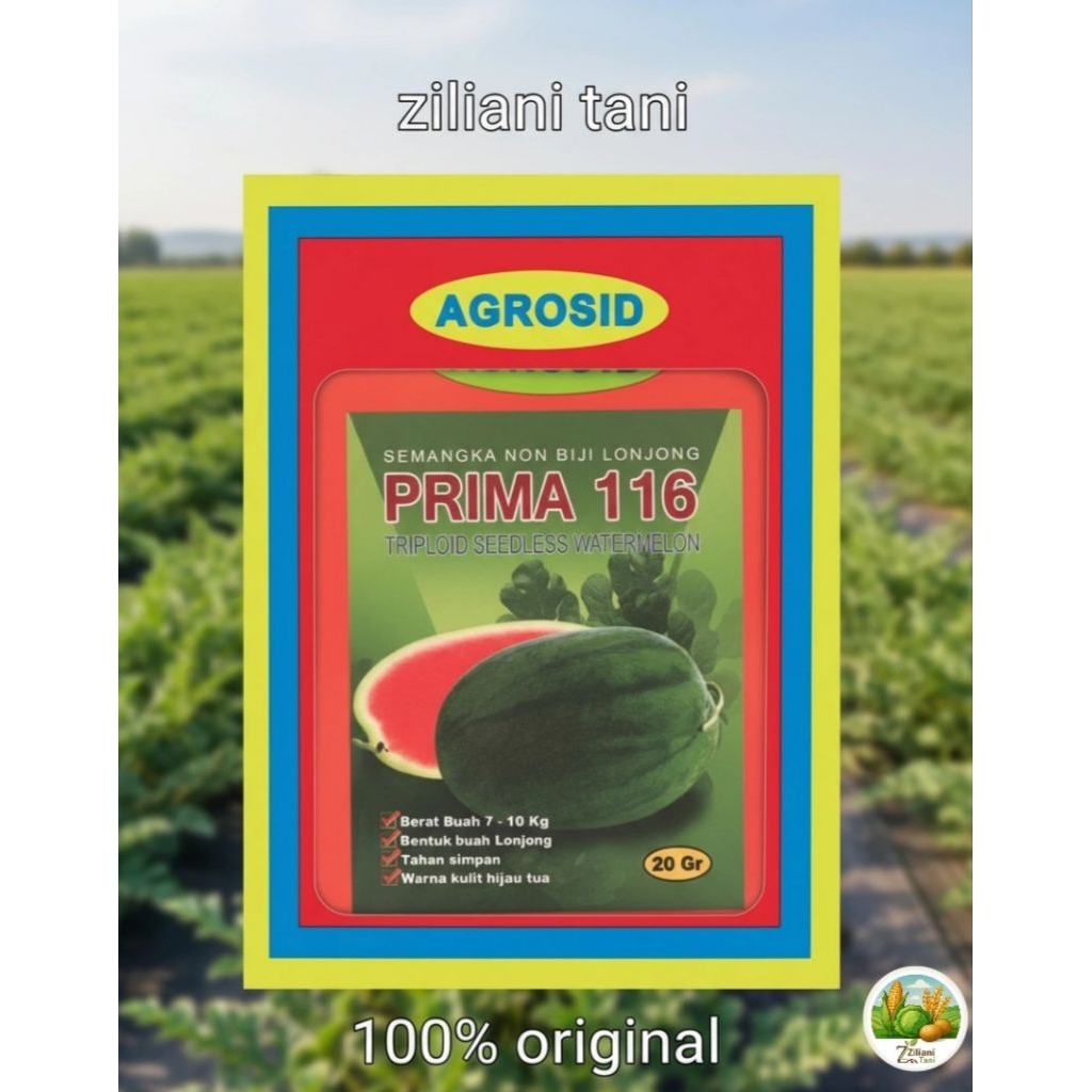 Benih Semangka Prima 116 | Agrosid 20gr