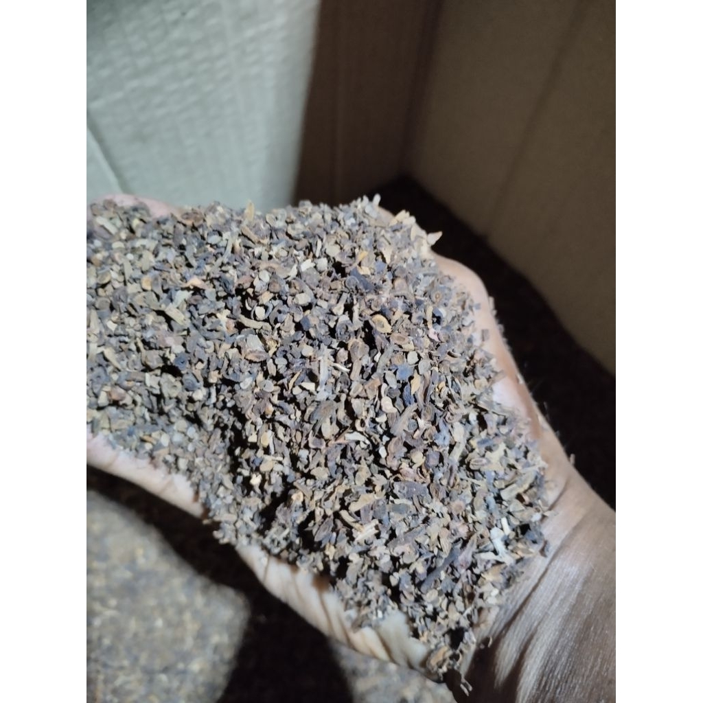 cengkeh rempah rajang rotari