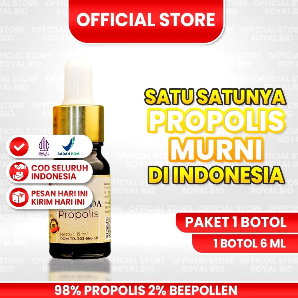 PROPOLIS HOLANDA Original