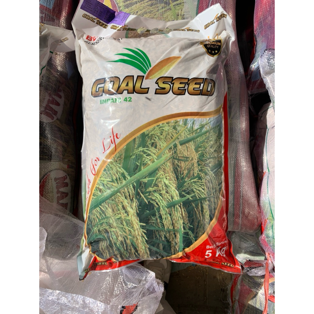 BENIH PADI INPARI 42 GOALD SEED
