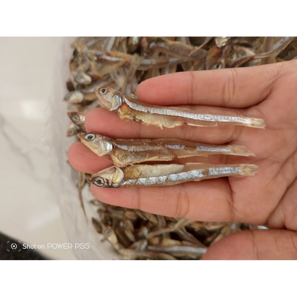 Ikan teri jengki/teri kadrak/teri besar tawar termurah 500g1kg