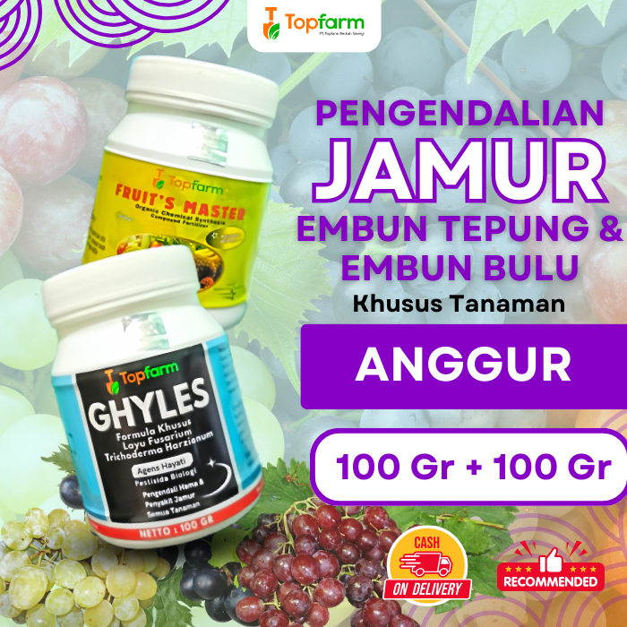 Fungisida Pembasmi Hama Dan Penyakit Tanaman Anggur/ Obat Pembasmi Hama Penyakit Tanaman Anggur/ Oba
