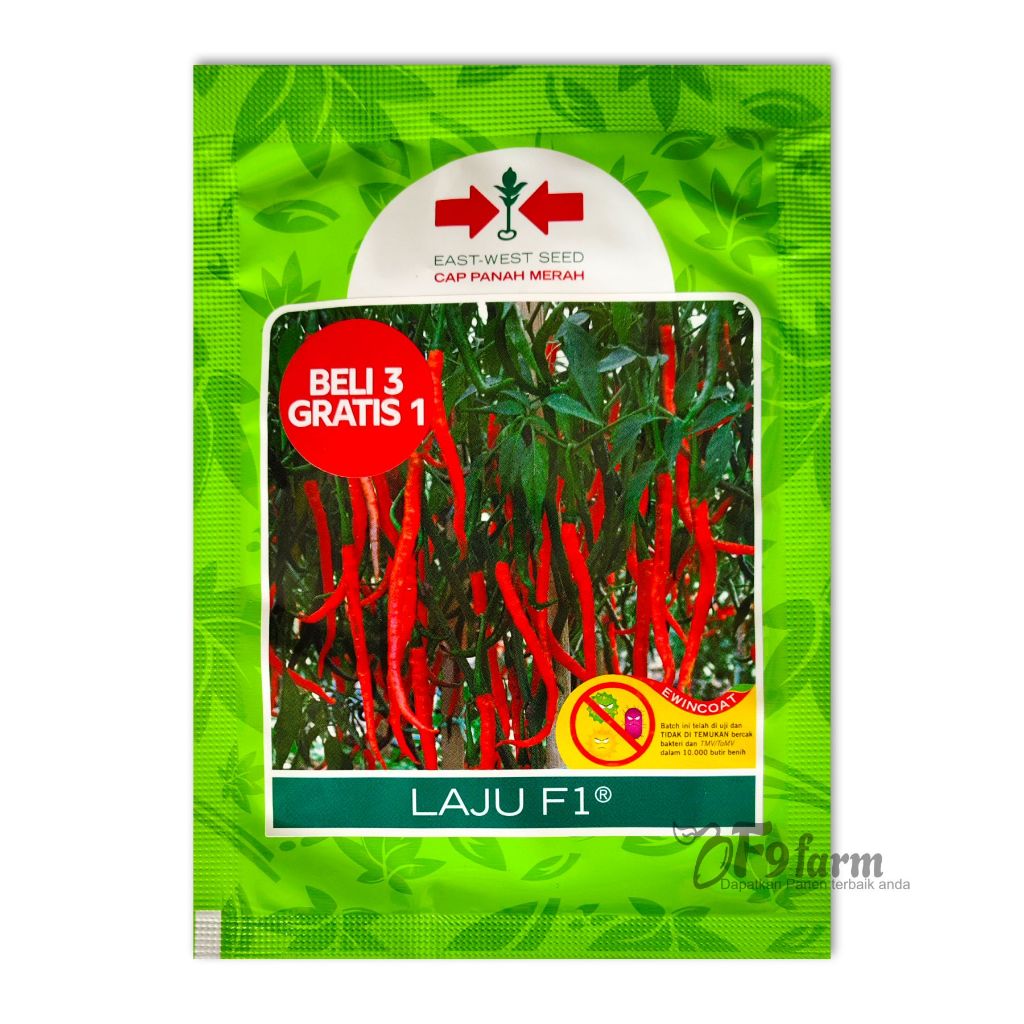 Benih Bibit cabe merah keriting Laju F1 1750 biji Cap panah merah