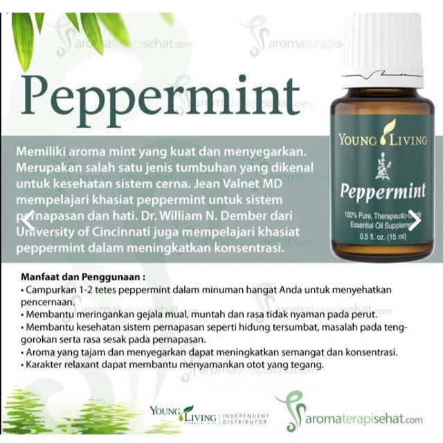 Peppermint Essential Oil Young Living 15ml