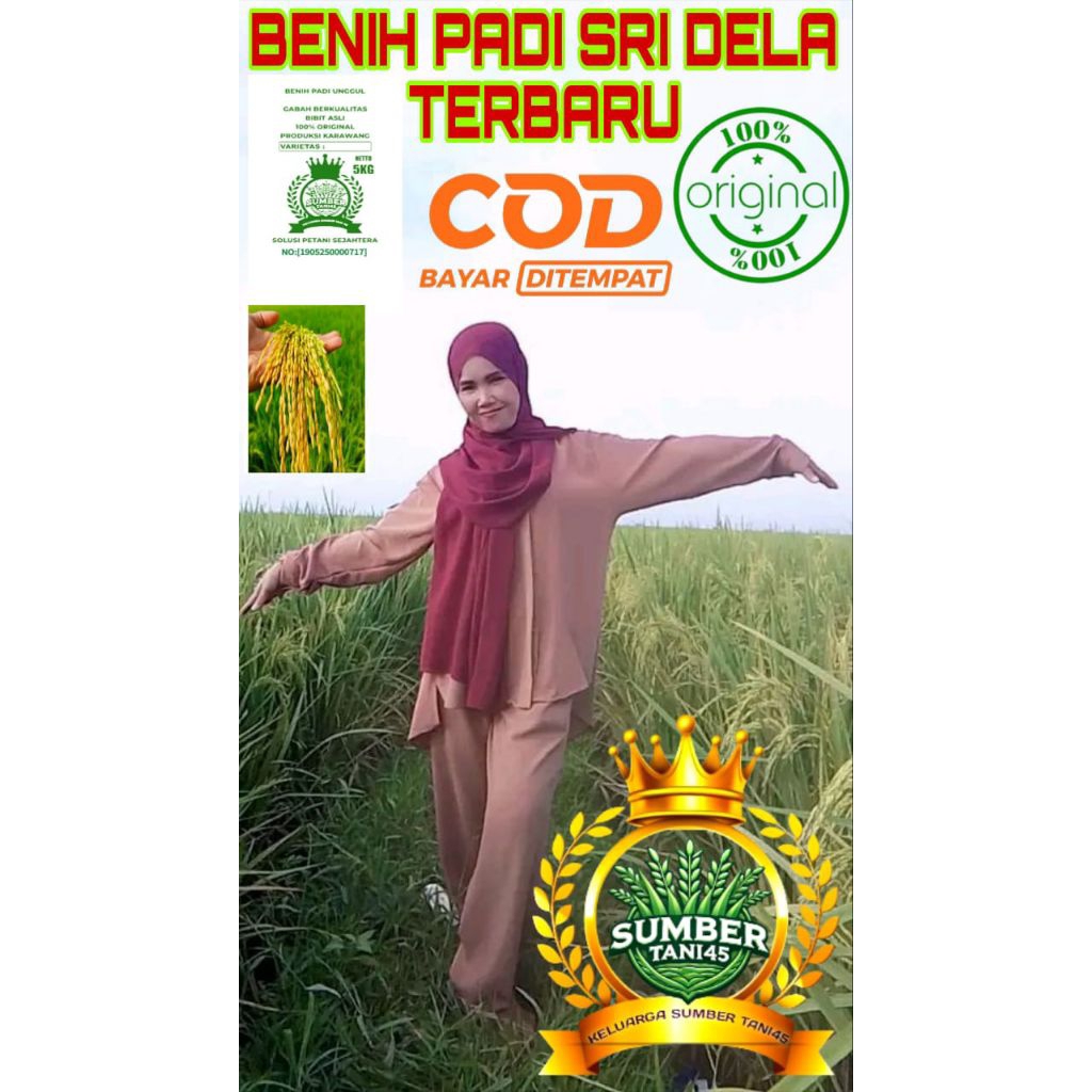 BENIH PADI UNGGUL SRI DELA