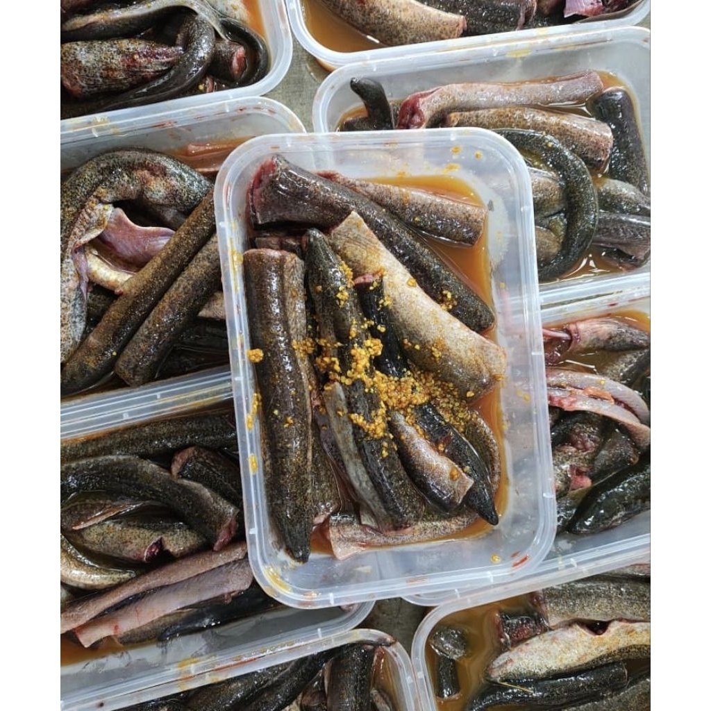 (FROZEN) Belut Marinasi Tinggal Goreng