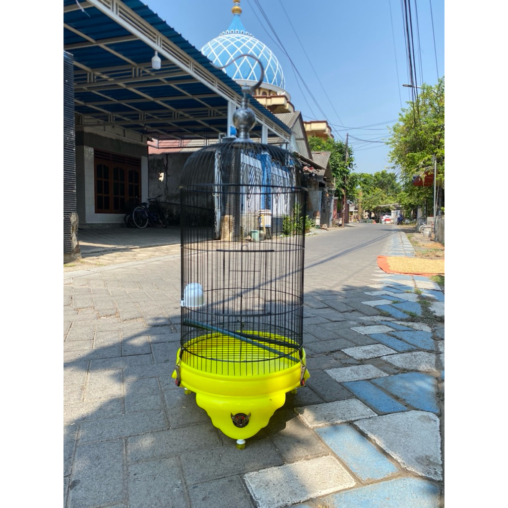 sangkar tebok radjawali Dm 33 cm.