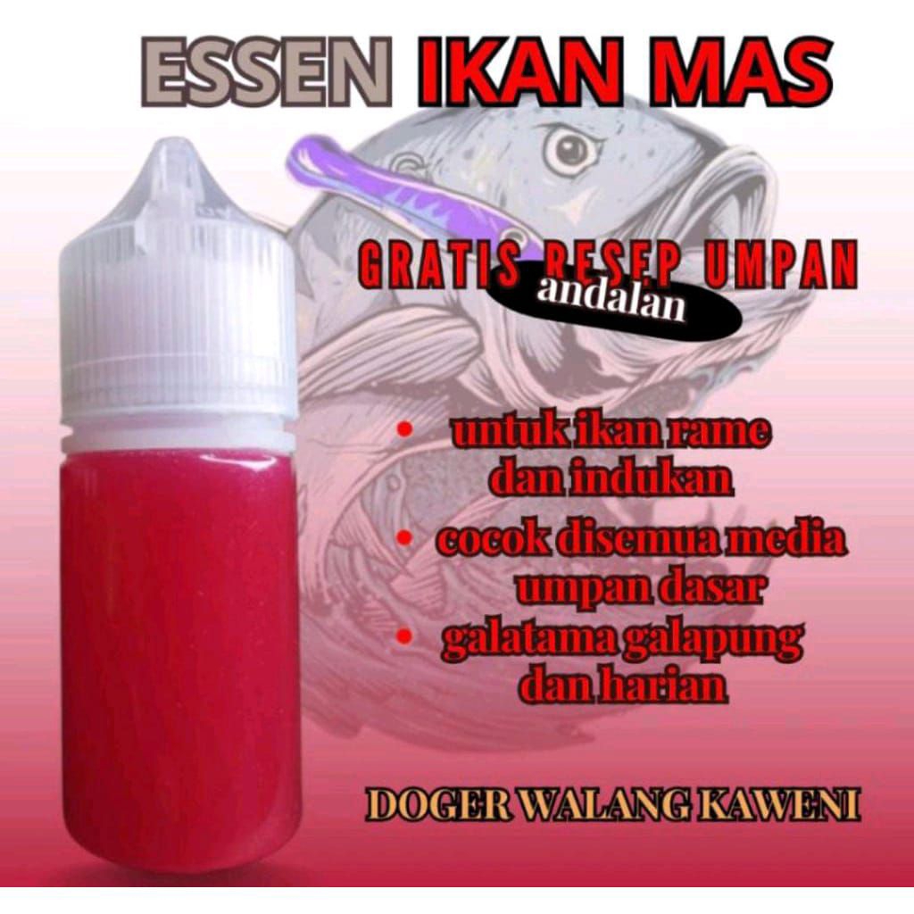 Essen ikan mas paling gacor aroma Doger walang kaweni  Essen ikan mas amis wangi, esen ikan mas indu