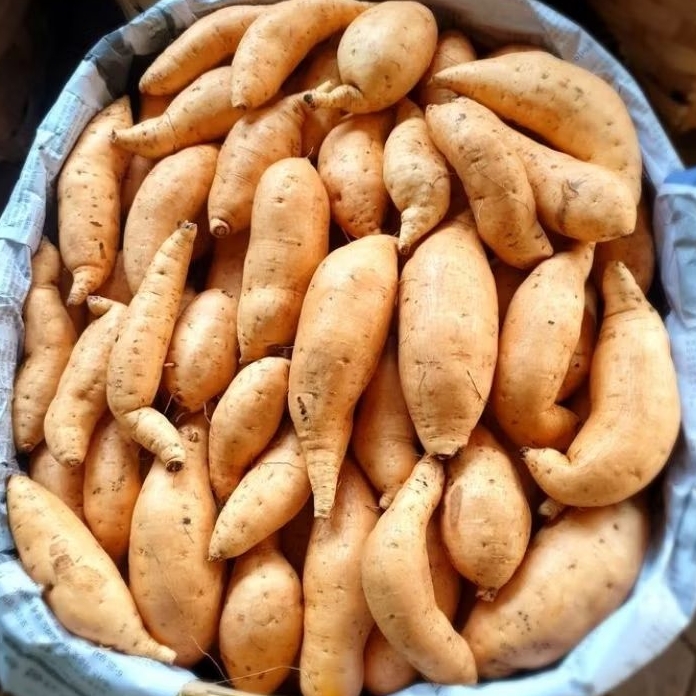 UBI CILEMBU MENTAH 1kg