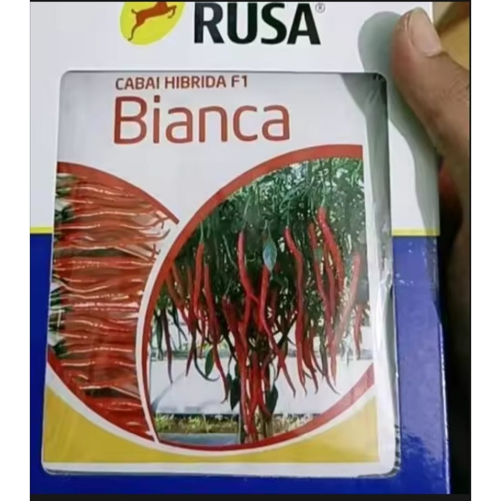 Benih Cabe Keriting BIANCA F1 10gr Isi 2.000 Butir