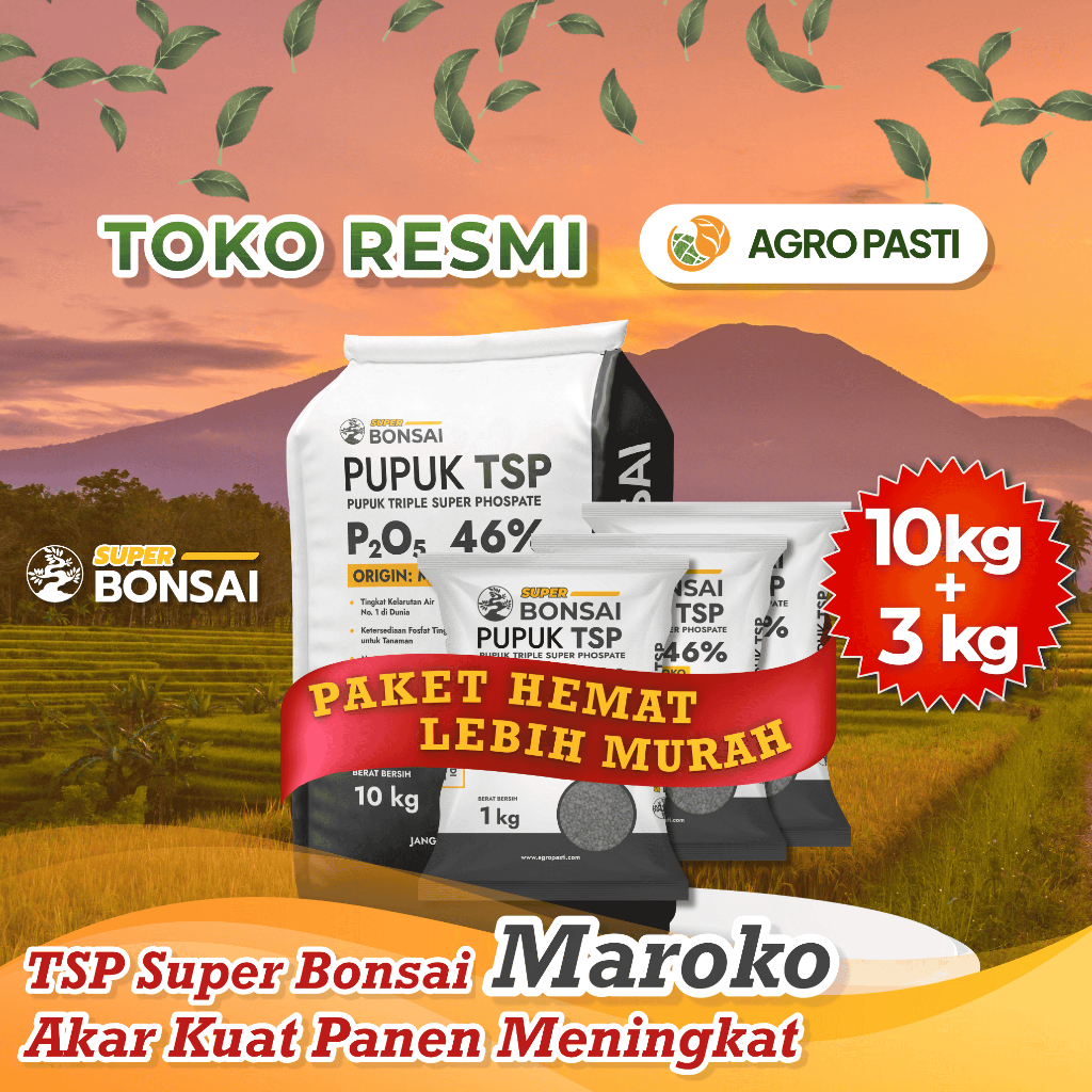 [BELI 1 GRATIS 3] Pupuk TSP Super Bonsai - 10kg + 3x1kg