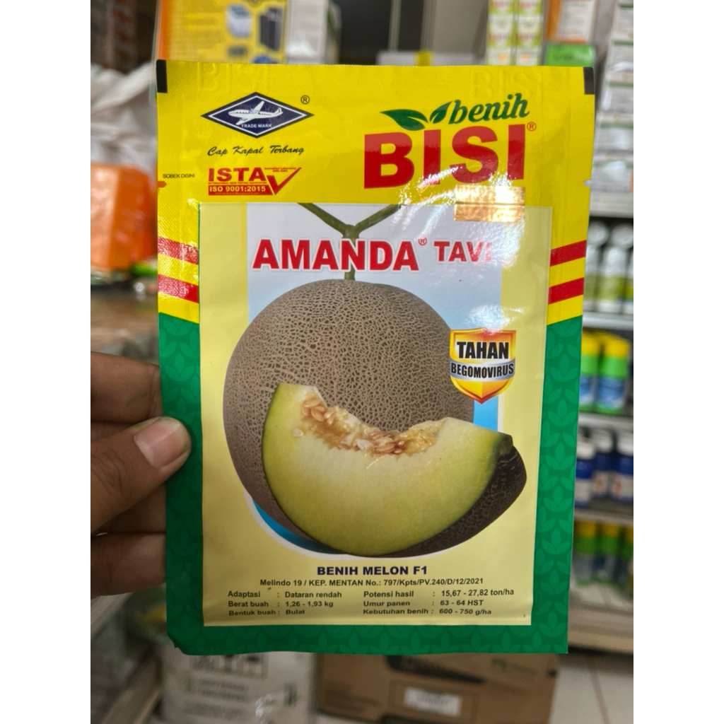 BENIH MELON AMANDA TAVI F1 (550 Biji) ASLI Cap Kapal Terbang | Bibit Melon Unggul Anti Virus Tahan B