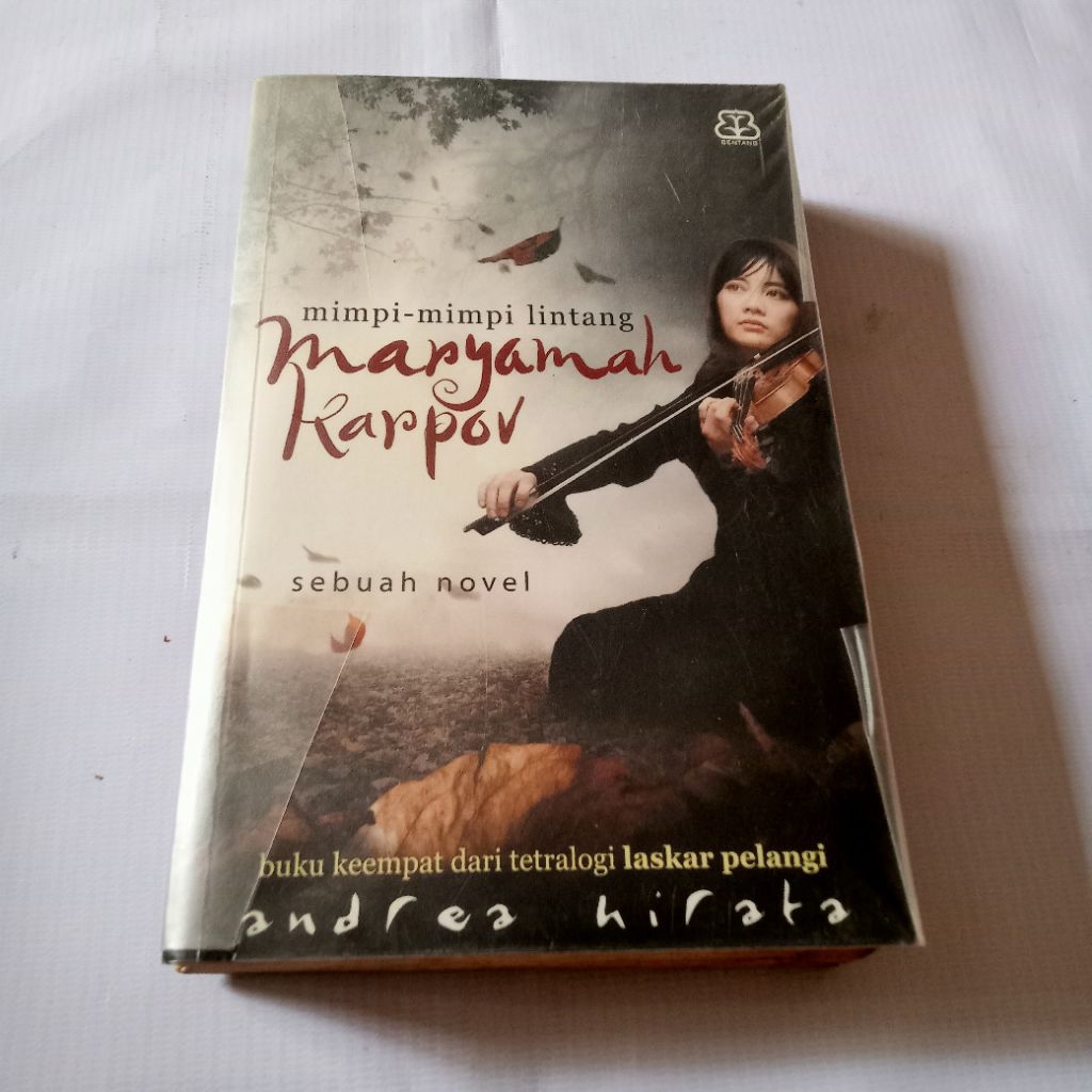 NOVEL MIMPI-MIMPI LINTANG