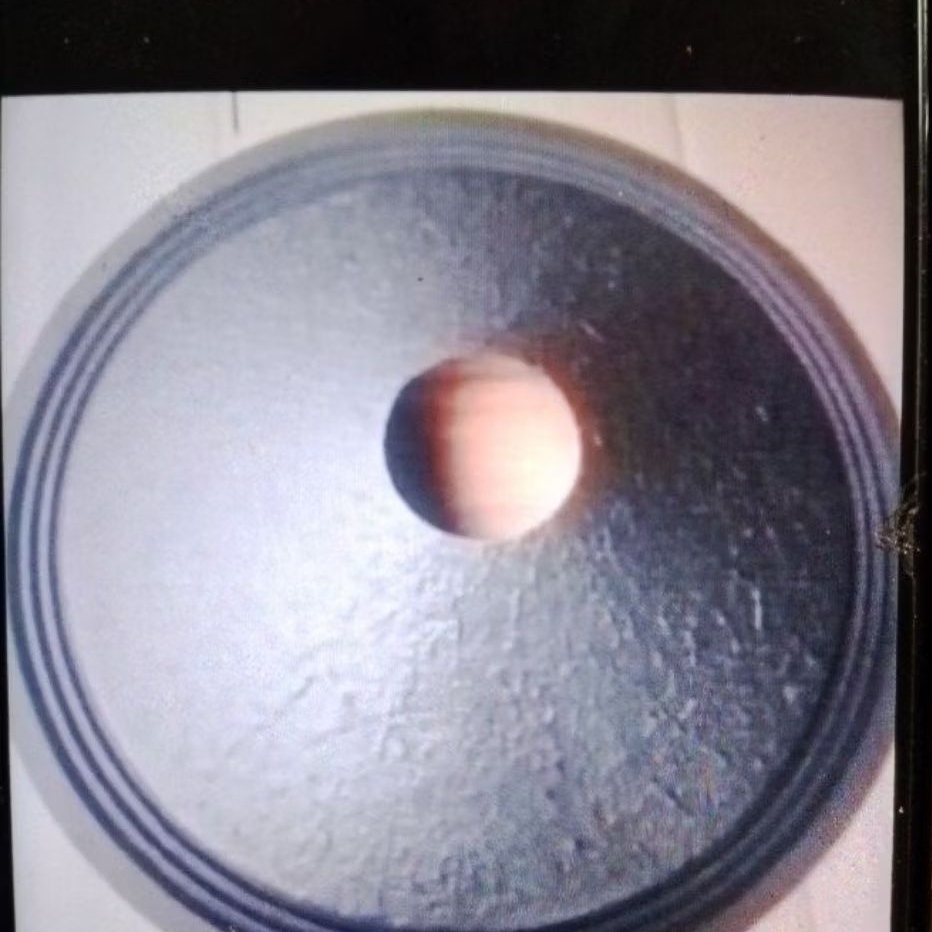 DAUN SPEAKER 15 INCH ACR LUBANG KUIL 60 . 5 MM DAUN JERUK FULL RING