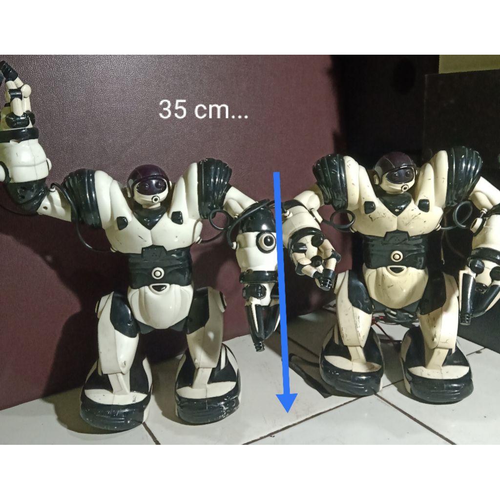 Borongan WoWWee.. Robosapien....