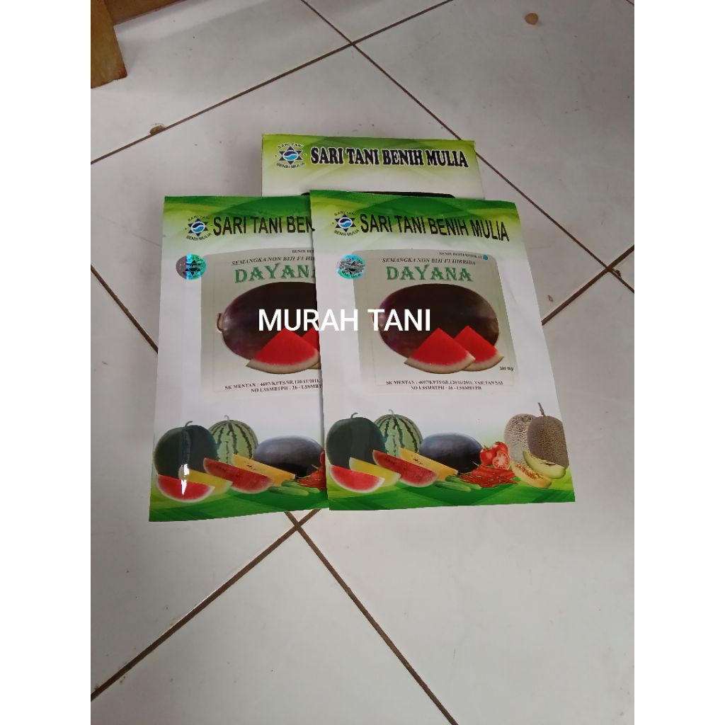 Benih Bibit Semangka Non Biji Dayana F1 (Rasa Manis, Tahan Simpan dan produksi tinggi) Isi 300 Butir